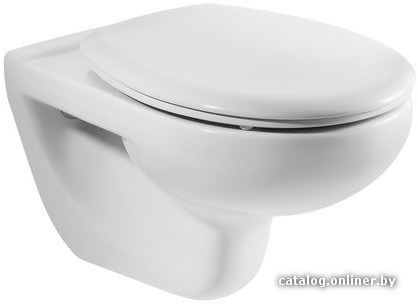 

Унитаз Roca Victoria (34630300S + 801390004) с крышкой