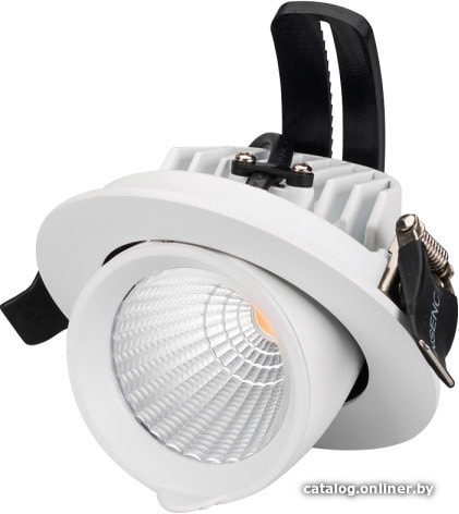 

Спот Arlight LTD-EXPLORER-R100-12W White6000 024028