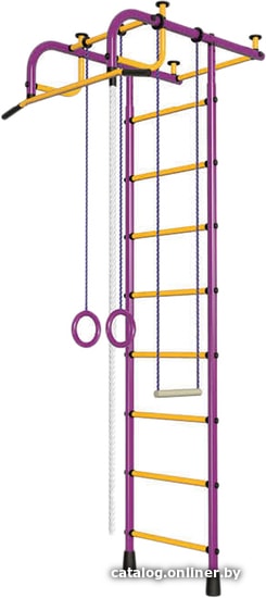 

Детский спортивный комплекс Пионер 1М (пурпурный/желтый)