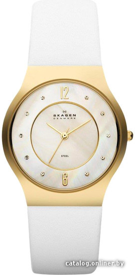 

Наручные часы Skagen SKW2027