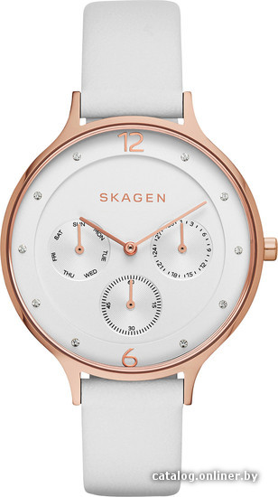 

Наручные часы Skagen SKW2311