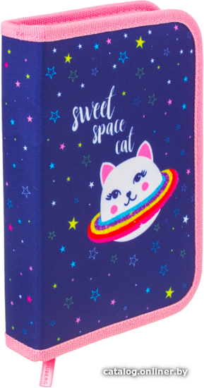 

Пенал BRAUBERG Space Cat 229278