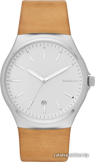 

Наручные часы Skagen SKW6261