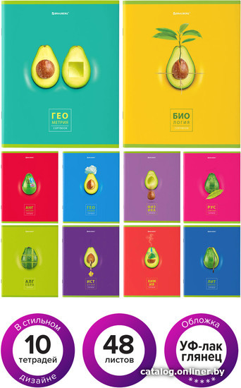 

Тетрадь предметная BRAUBERG Avocado 404325 (10шт)