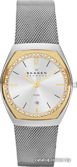 

Наручные часы Skagen SKW2050