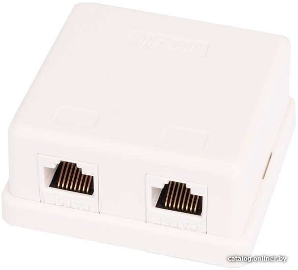 

Розетка компьютерная Netlan EC-UWO-2-UD2-WT (1 шт)