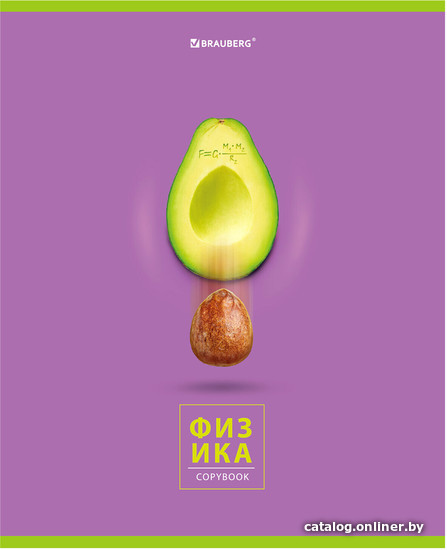 

Тетрадь предметная BRAUBERG Avocado. Физика 404283 (48 л, клетка)