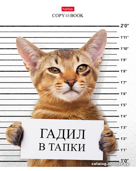 

Полуобщая тетрадь Hatber Кот-обормот 48Т5В1 (48 л)