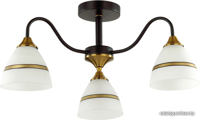 

Люстра средней высоты Lumion Nettie 5214/3C