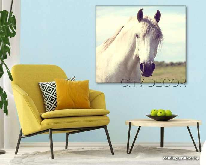 

Модульная картина Citydecor Животные/Птицы 2.52 60x70 см