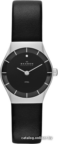 

Наручные часы Skagen SKW2048