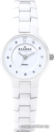 

Наручные часы Skagen 572SSXWC