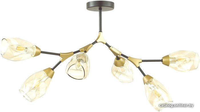 

Люстра средней высоты Lumion 4563/6C