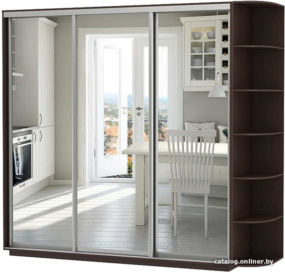 

Шкаф-купе Vivat Mebel D3-08 220x60 (черное дерево)
