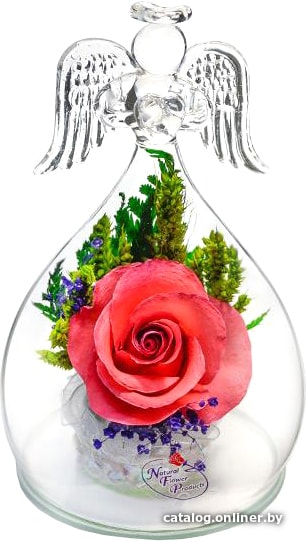 

Цветы, букеты Natural Flower Products Композиция из розовых розы VhZYw