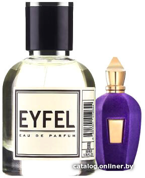 

Парфюмерная вода Eyfel U-10 EdP (100 мл)