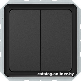 

Выключатель проходной Vilma Spectrum SP 300 P(6+6)10-020-02 an