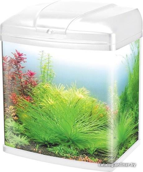 

Аквариум Silver Berg Golden Fish 20 л (белый)