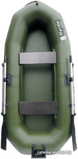 

Моторно-гребная лодка Муссон R 260 ТР (зеленый)