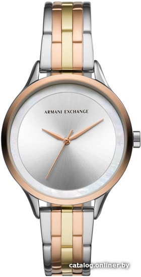 

Наручные часы Armani Exchange Harper AX5615