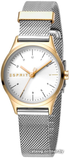 

Наручные часы Esprit ES1L052M0085