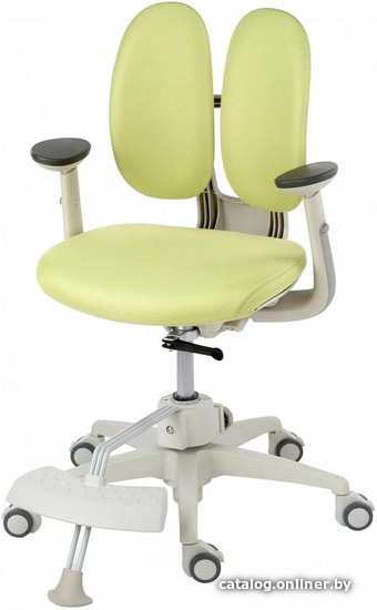 

Детское ортопедическое кресло Duorest Kids AI-050SDSF 1IGN1 (зеленый)