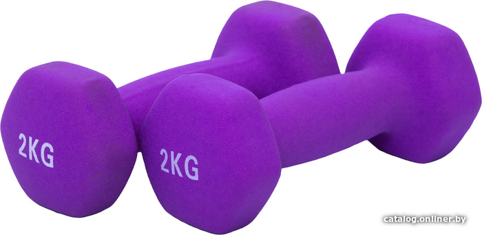 

Набор гантелей XinRui MS1004 2x2 кг