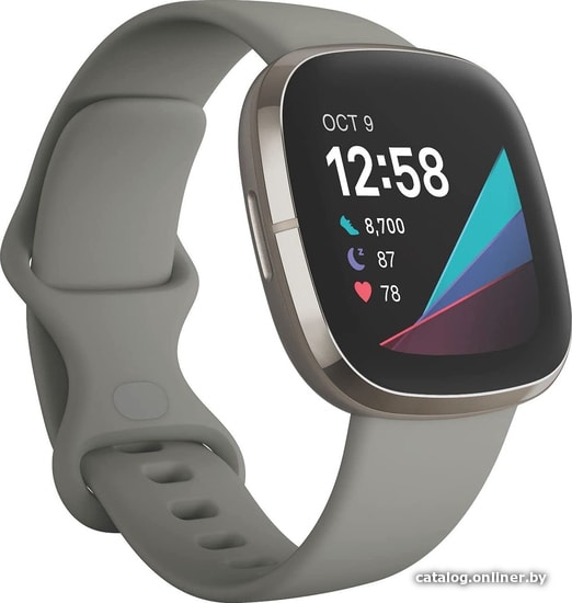 

Умные часы Fitbit Sense (серый/серебристый)