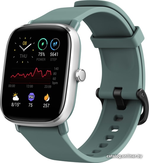 

Умные часы Amazfit GTS 2 mini (зеленый шалфей)