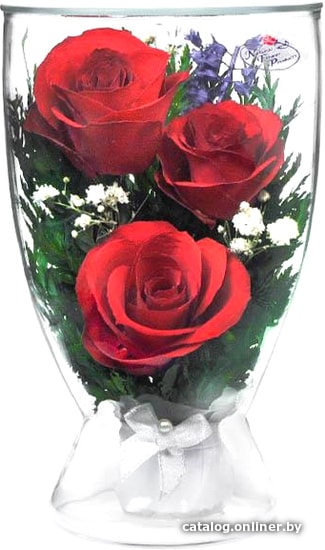 

Цветы, букеты Natural Flower Products Композиция из красных роз JbSY
