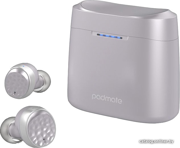 

Наушники Padmate Tempo T5 Plus (серый)