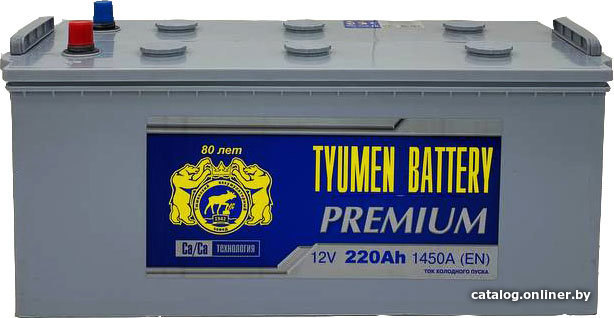 

Автомобильный аккумулятор Tyumen Battery Premium (220 А·ч)