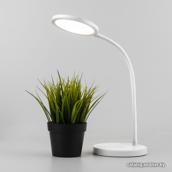 

Настольная лампа Elektrostandard Tiara TL90560 (белый)