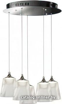 

Подвесная люстра iLedex Flora WD8007-5 CR