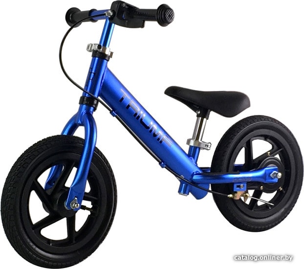 

Беговел Triumf Active AL1201TW (синий)