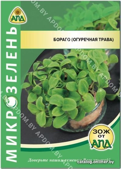 

Семена АПД Микрозелень Бораго (огуречная трава) 240 шт