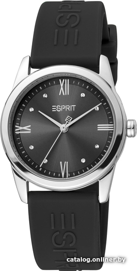 

Наручные часы Esprit ES1L217P1135