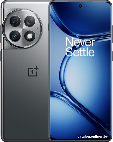 OnePlus Ace 2 Pro 24GB/1TB китайская версия (серый) смартфон купить в Пинске