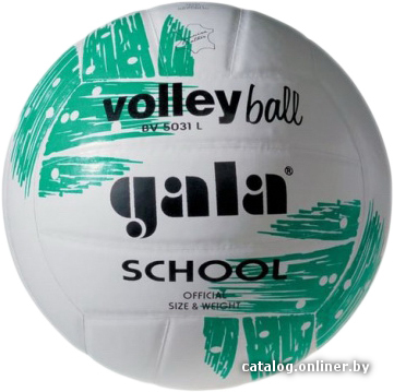 

Мяч Gala School Foam BV5031S (5 размер)