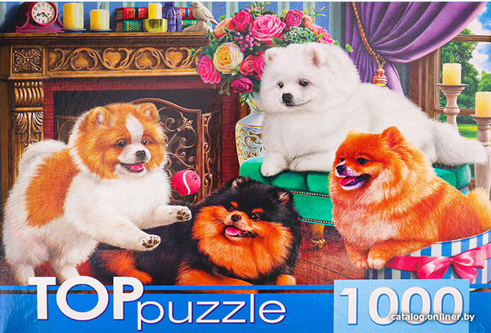 

Пазл Top Puzzle Игривые шпицы