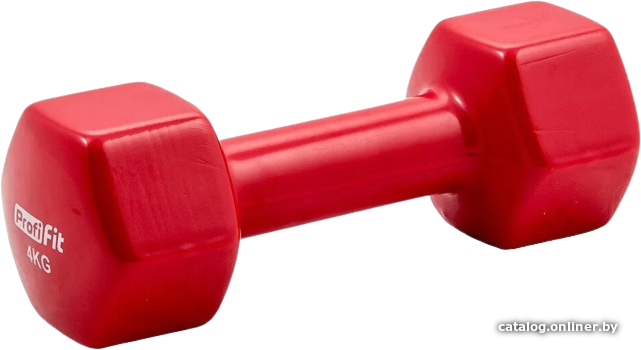 

Гантель Profi-Fit PF-VDB-4 4кг (красный)