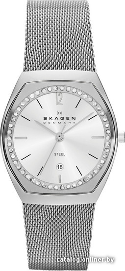 

Наручные часы Skagen SKW2049