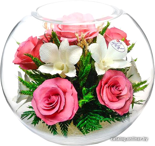 

Цветы, букеты Natural Flower Products Композиция из розовых роз и белых орхидей IUTw
