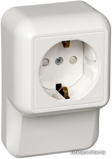 

Розетка Schneider Electric Прима RA16-003-2M-B