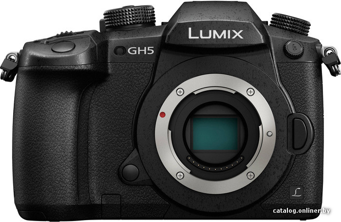 

Беззеркальный фотоаппарат Panasonic Lumix DC-GH5 Body