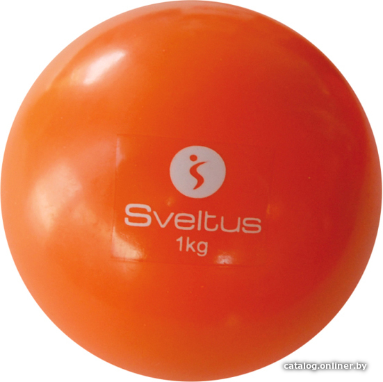 

Мяч Sveltus 0451 (110 см, 1 кг)