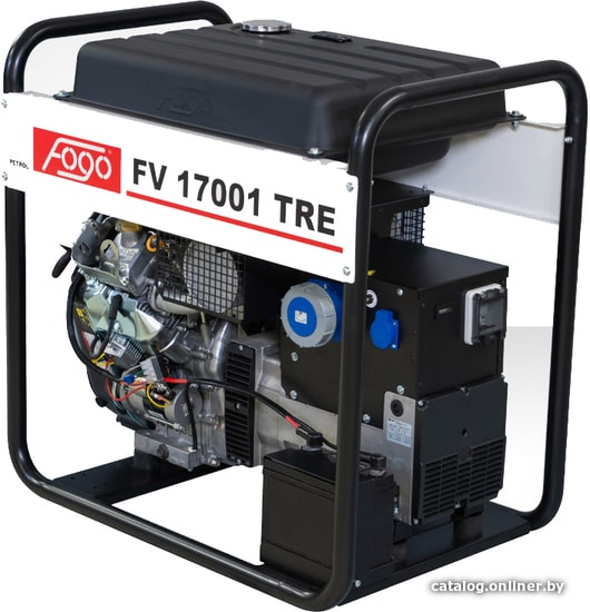 

Бензиновый генератор Fogo FV 17001 TRE