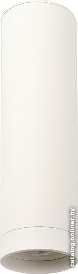 

Спот Denkirs Tube DK2052-WH