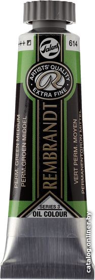 

Масляные краски Rembrandt 614 01036142 (зеленый средний прочный)