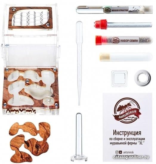

Формикарий AntsMinsk Стартовый комплект XL Tree